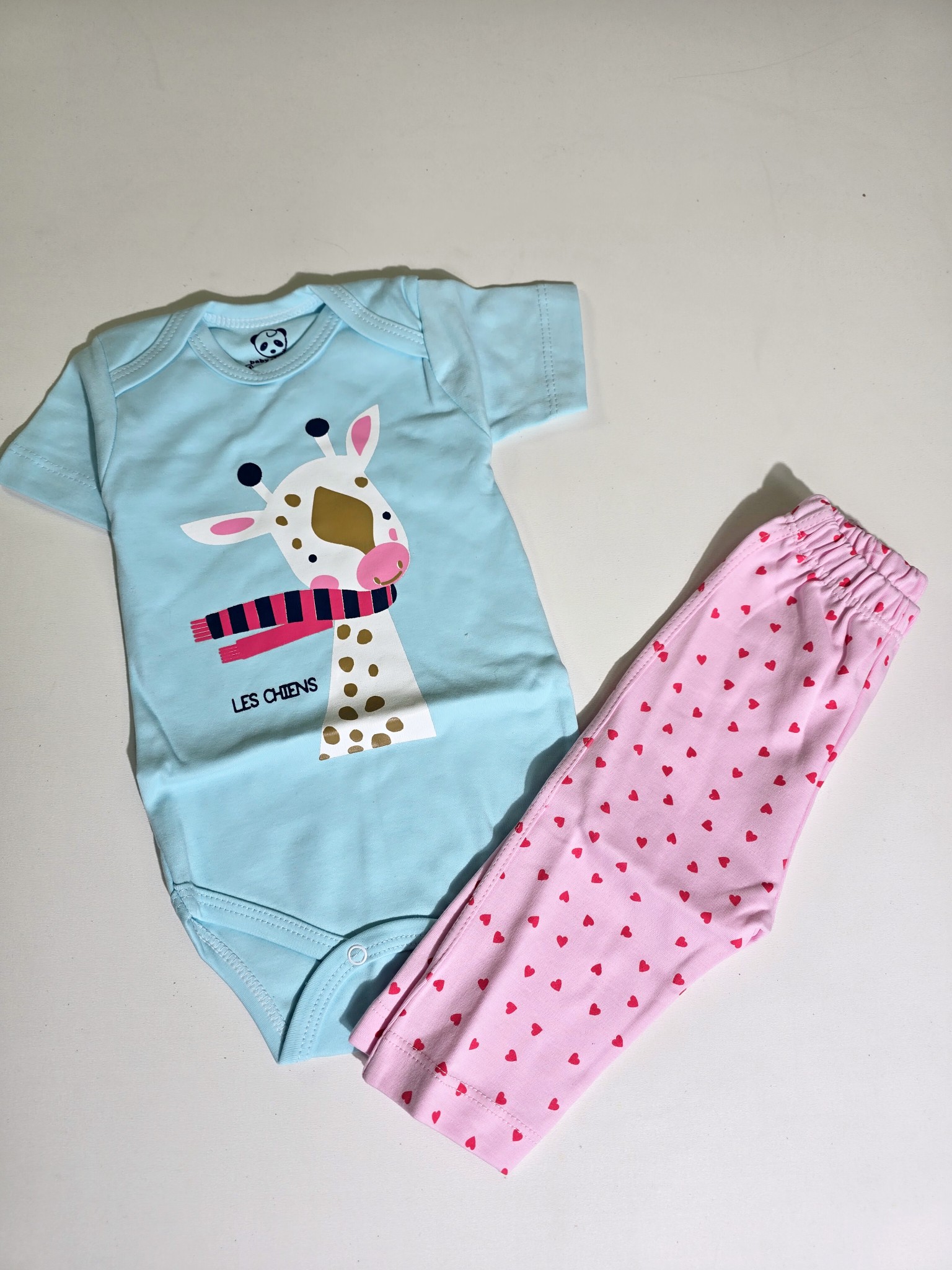 InShot_20260225_161954567_copy_1536x2048